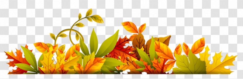 Autumn Clip Art - Flowering Plant - Leaves-fall Transparent PNG