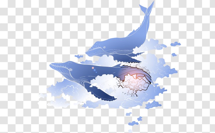 Blue Whale Marine Mammal - World Transparent PNG