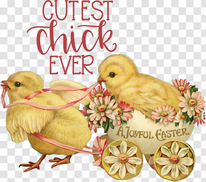 Happy Easter Cutest Chick Ever Transparent PNG