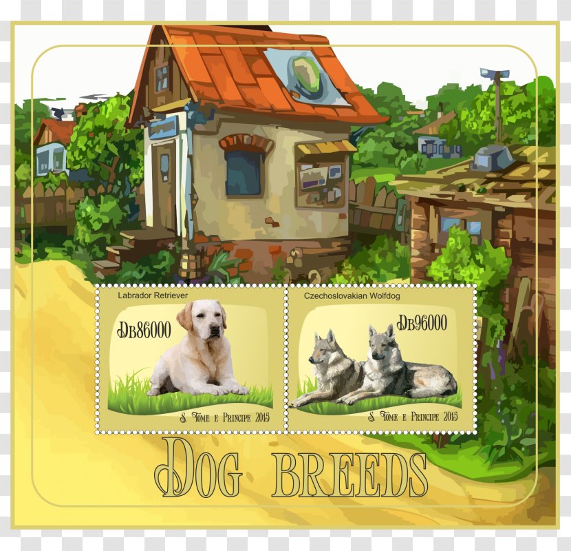 Czechoslovakian Wolfdog Fauna Landscaping - Tree - Meter Transparent PNG