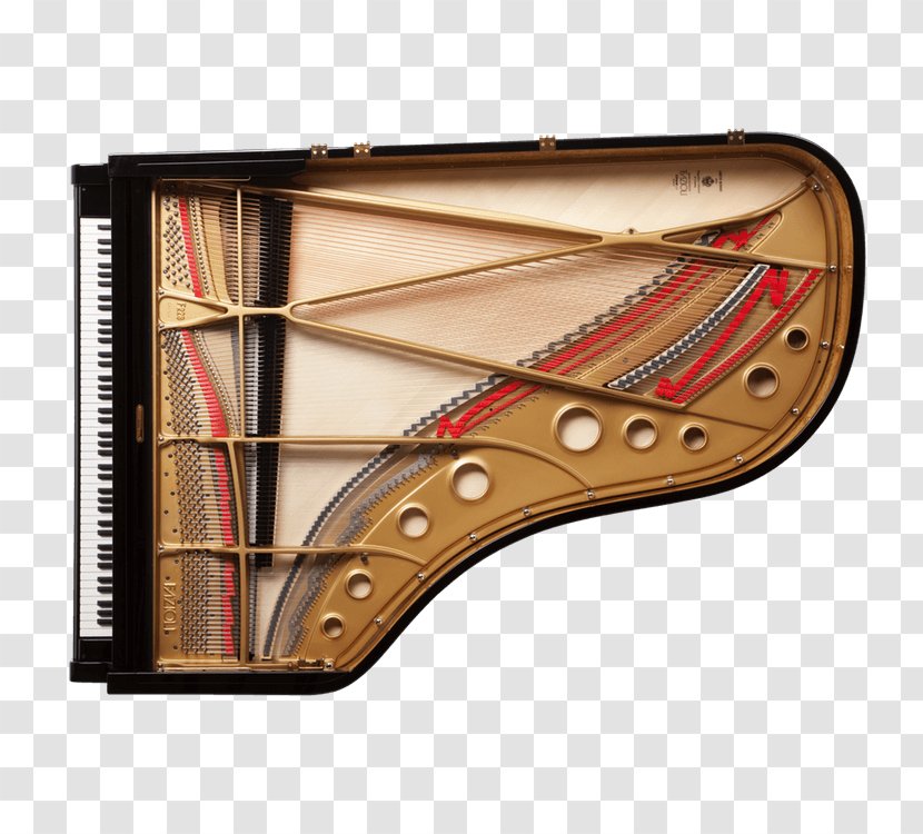 Grand Piano Fazioli Musical Instruments Pianist - Frame Transparent PNG