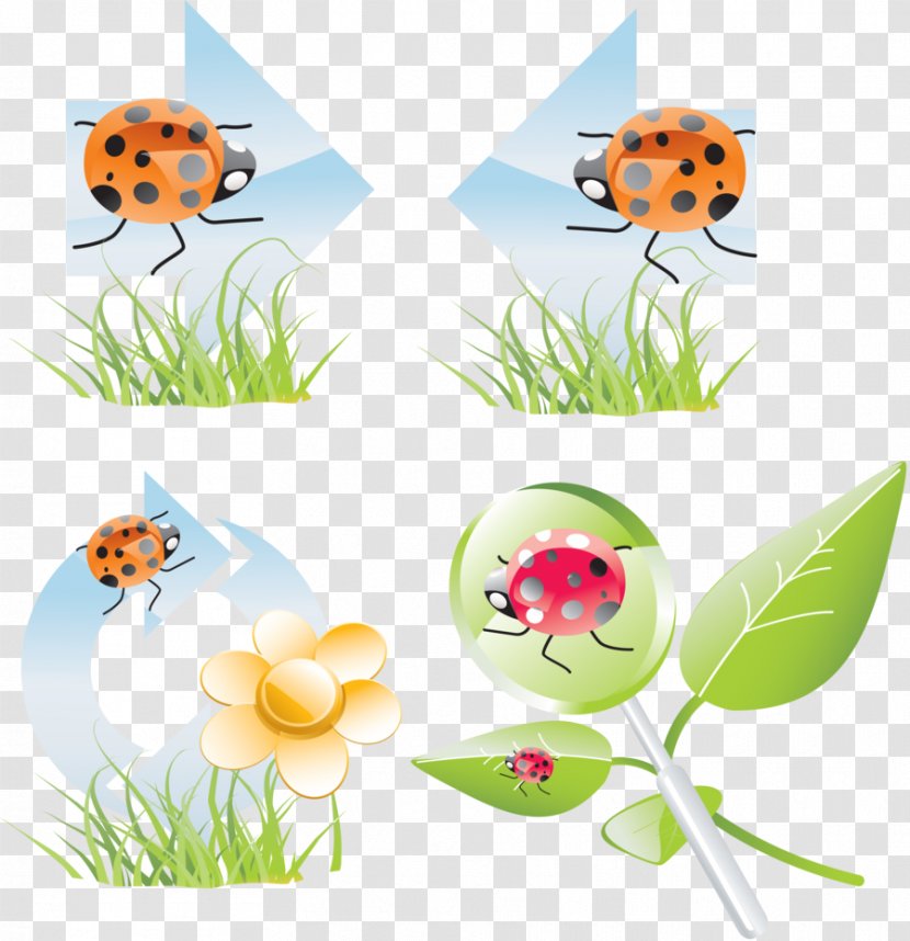Coccinella Insect Clip Art - Elpac Oy Transparent PNG