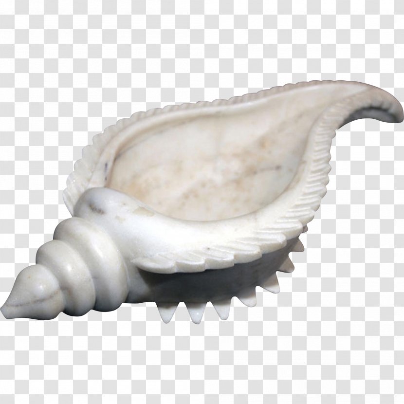 Shankha Conch Seashell Tibia Marble - Shaped Inkstone Transparent PNG