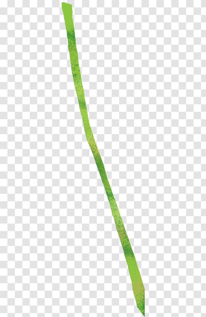 Euclidean Vector Gratis - Bamboo Trail Transparent PNG