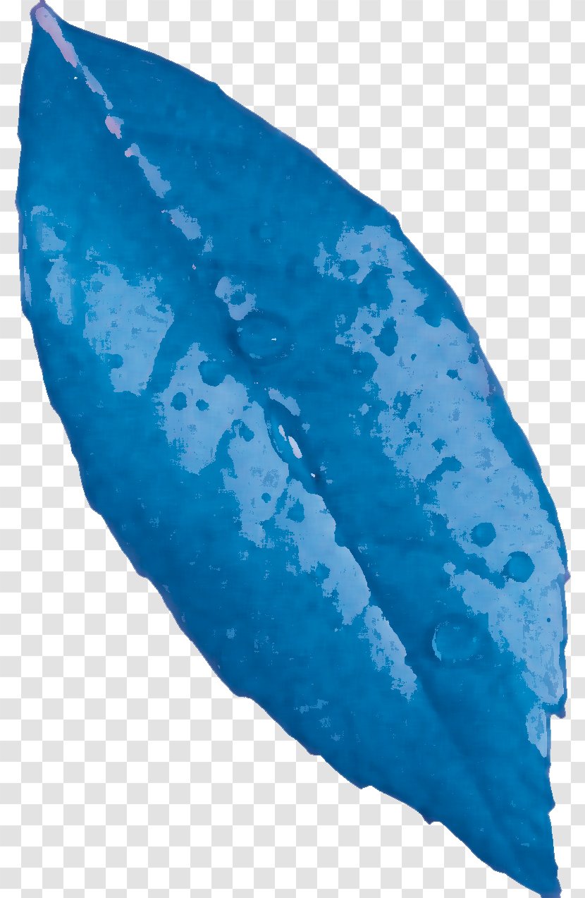 Marine Mammal Turquoise - Leaf Flower Transparent PNG