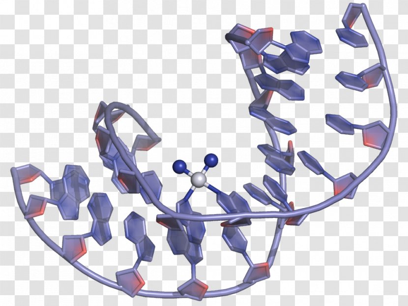 Cisplatin DNA Adduct Chemistry Coordination Complex - Tree - Cancer Cell Transparent PNG