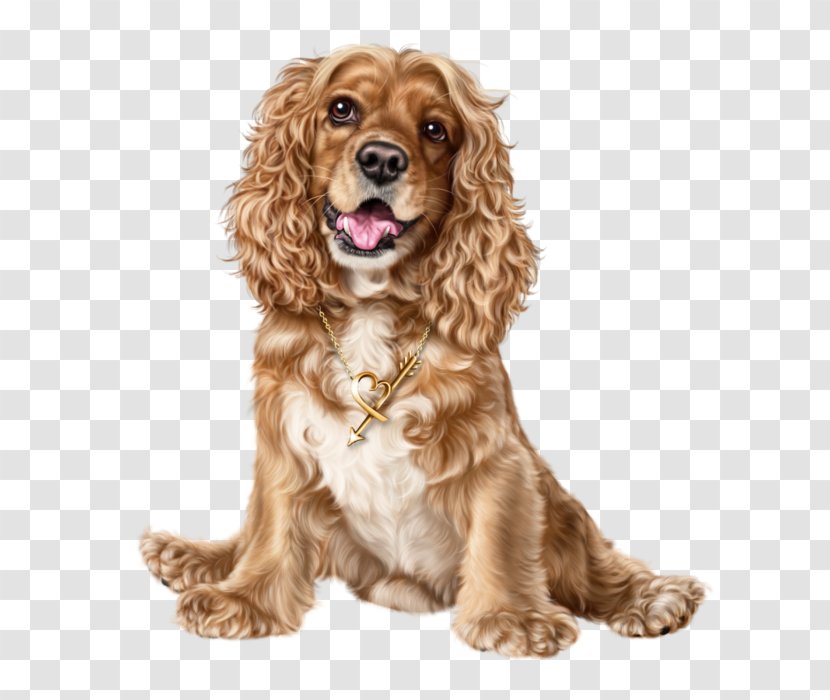 English Cocker Spaniel American Puppy - Companion Dog - FCB Transparent PNG