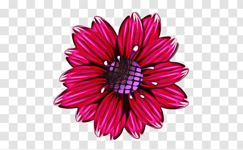 Pink Flowers Background - Gerbera - Daisy Aster Transparent PNG