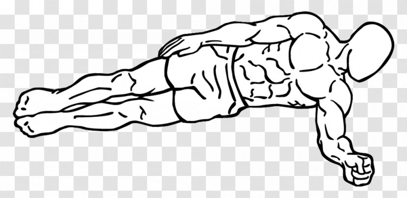 Plank Crunch Abdominal External Oblique Muscle Rectus Abdominis Isometric Exercise - Tree Transparent PNG