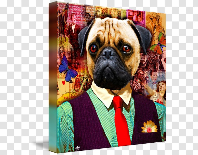 Pug Puppy Dog Breed Companion Toy Transparent PNG