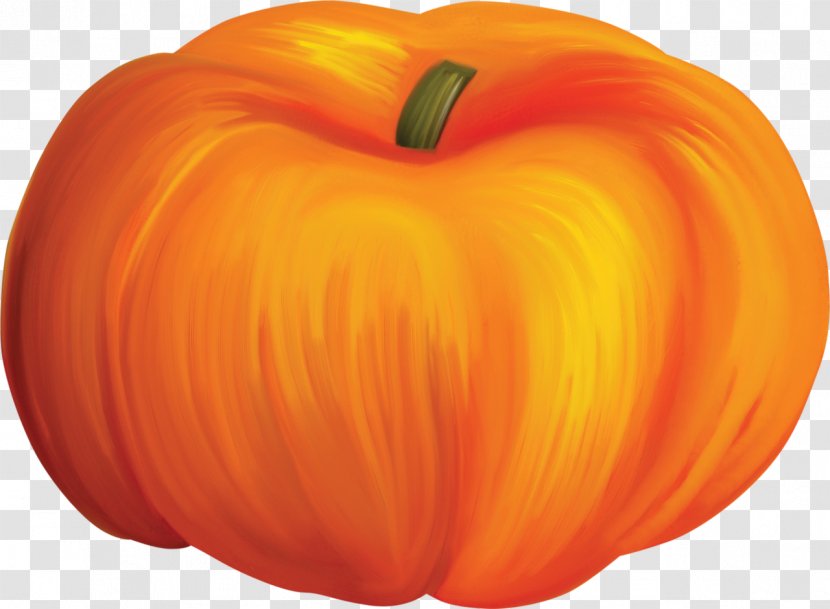 Calabaza Cucurbita Pumpkin Winter Squash Jack-o'-lantern - Orange - Thanks Giving Transparent PNG