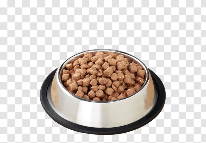 Cat Food Dog Primal Pet Foods, Inc. - Foods Inc Transparent PNG