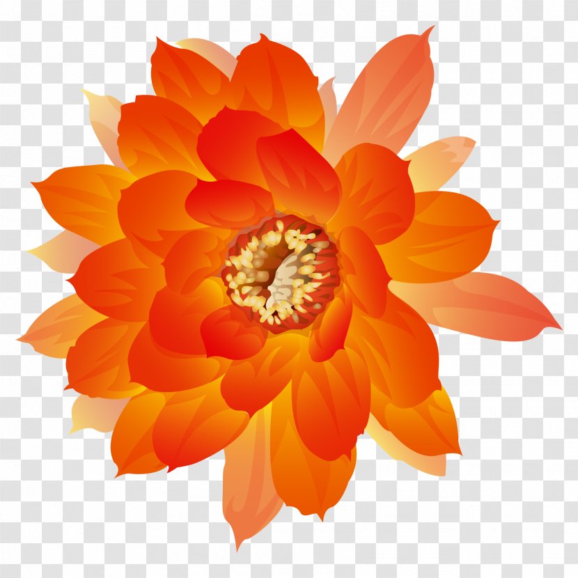 Watercolor Painting Icon - Color - Orange Flowers Bloom Transparent PNG