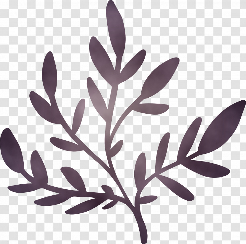 Twig Leaf Science Plant Structure Biology Transparent PNG