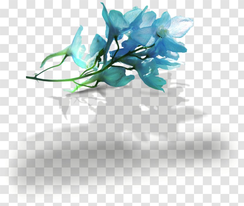 Clip Art Image Blue Flower - Turquoise Transparent PNG