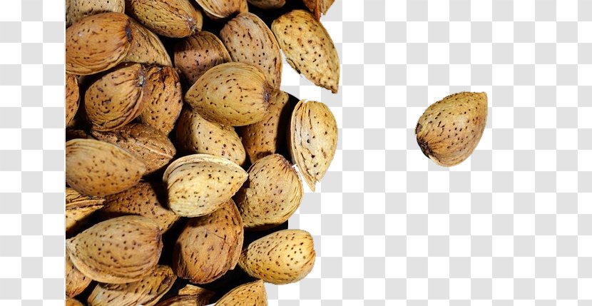 Walnut Apricot Kernel Food Plum Blossom - Nut - Almond Snacks Transparent PNG