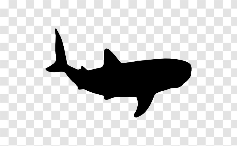 Whale Shark Cetacea Clip Art - Marine Mammal Transparent PNG