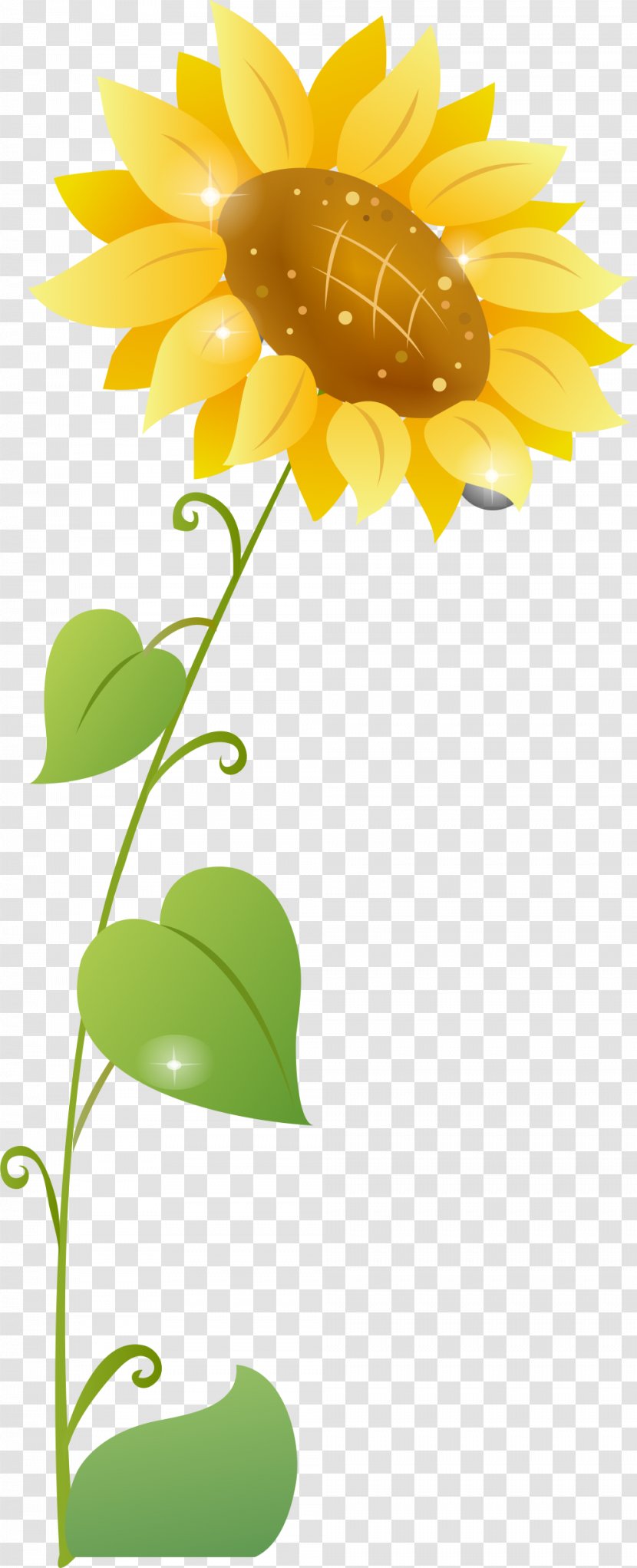 Common Sunflower Cartoon - Flowering Plant Transparent PNG