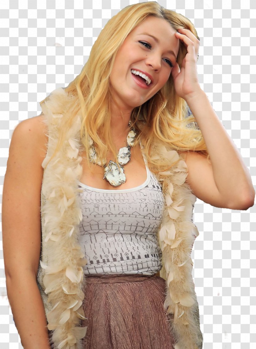 Blake Lively Model Hair Fur Clothing Art - Frame - Atmosphere Transparent PNG