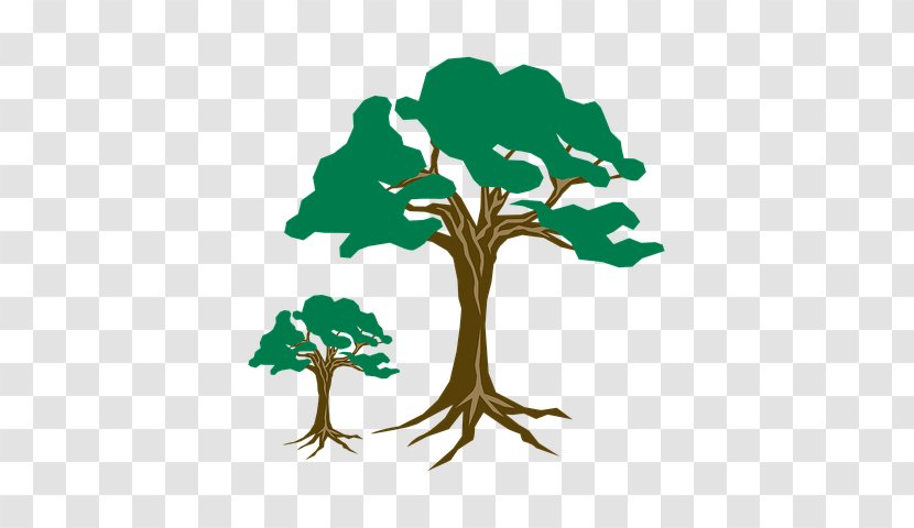 Arbor Day - Branch - Root Transparent PNG