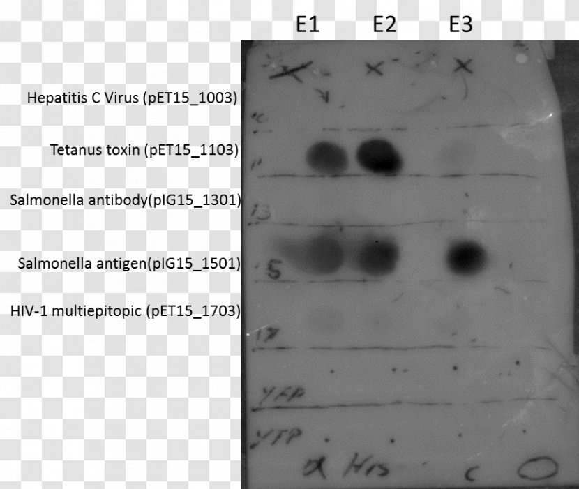 Document Dot Blot Line Angle - Handwriting Transparent PNG