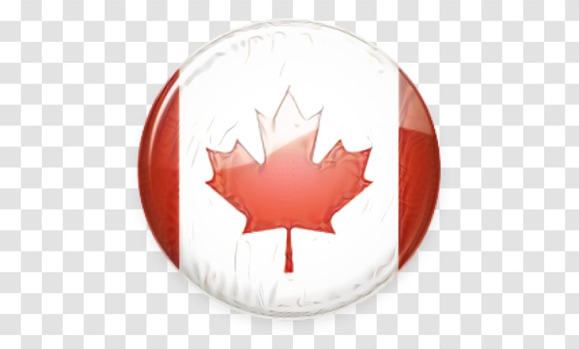 Canada Maple Leaf - Flag - Plant Soapberry Family Transparent PNG