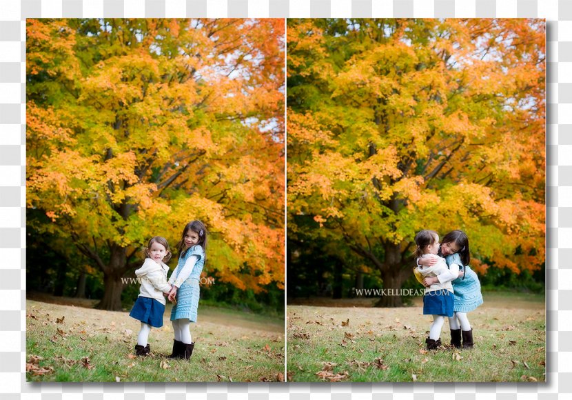 Woodland State Park Leaf Child - Autumn Is New Transparent PNG