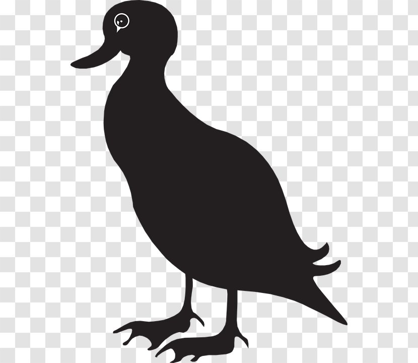 Duck Mallard Goose Clip Art - Vector Transparent PNG