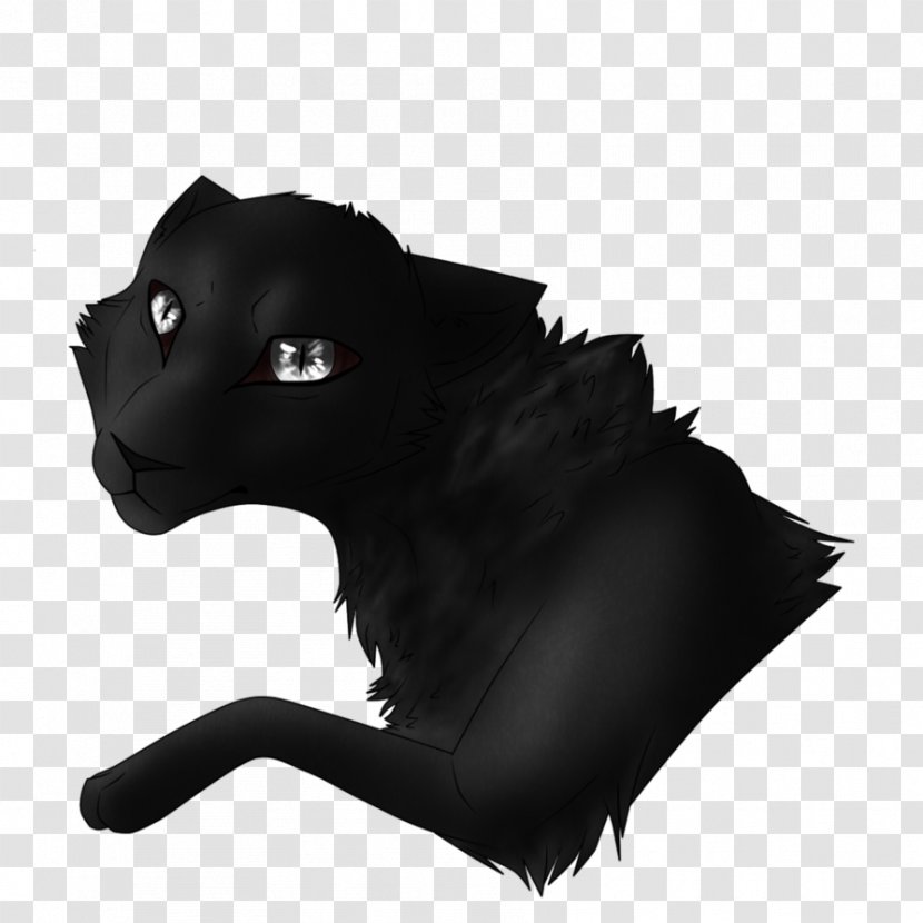 Whiskers Cat Dog Snout Canidae - Black Transparent PNG
