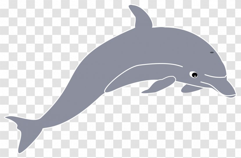 Dolphin Clip Art Transparent PNG