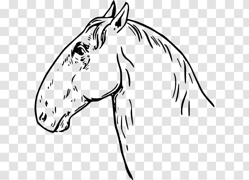 Mustang Arabian Horse Horses Clip Art Transparent PNG