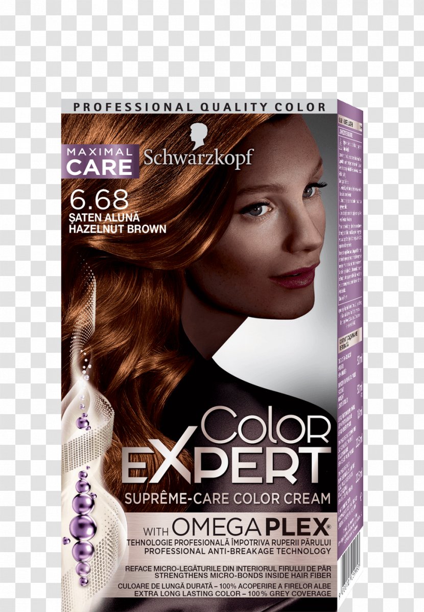 Hair Coloring Schwarzkopf Expert Capelli - Brown - Light Color Transparent PNG