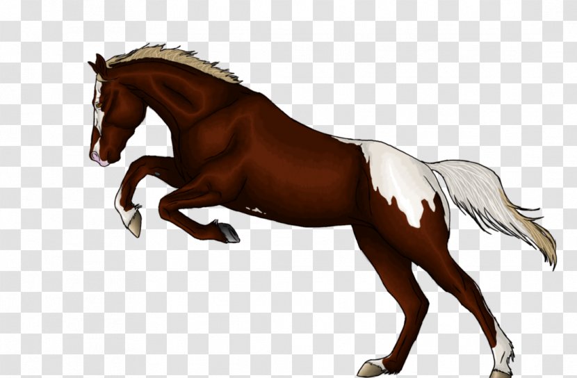 Mane Mustang Stallion Foal Mare Transparent PNG