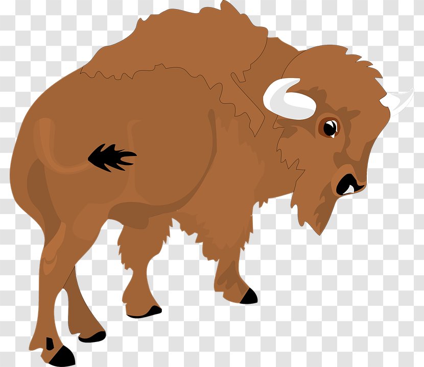 American Bison Animal Hunting Clip Art - Bull - Buffalo Transparent PNG