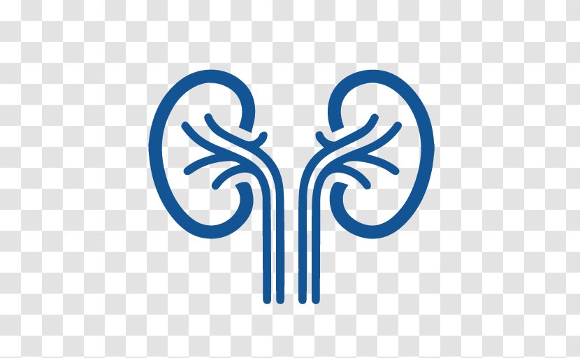 Urology Medicine Nauro Kidney Speciality Clinic Specialty - General Surgery - Cassino Design Element Transparent PNG