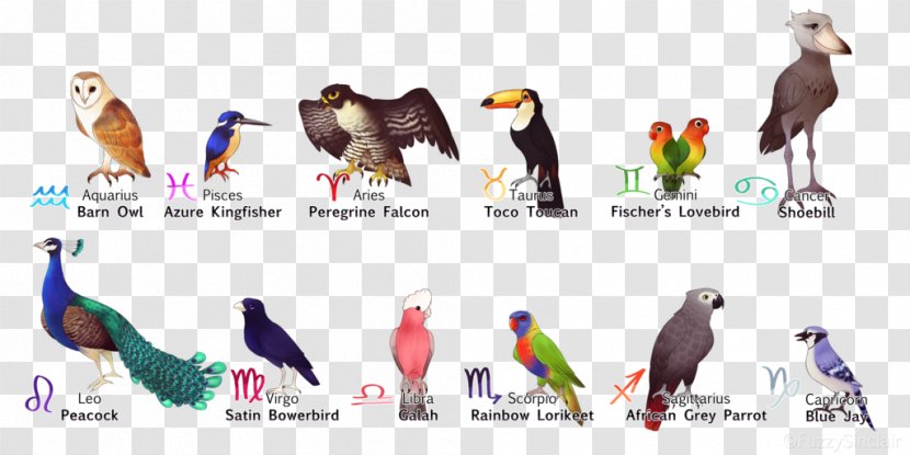 Eagle Bird Zodiac Beak Astrological Sign - Digital Art - Virgo Transparent PNG