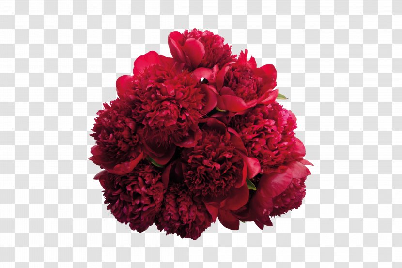 Peony Flower Bouquet Burgundy Pink Flowers - Paeonia Lactiflora - Of Red Transparent PNG