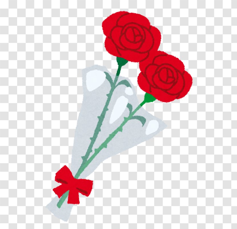 Mother's Day Child いらすとや Carnation - Flowering Plant Transparent PNG