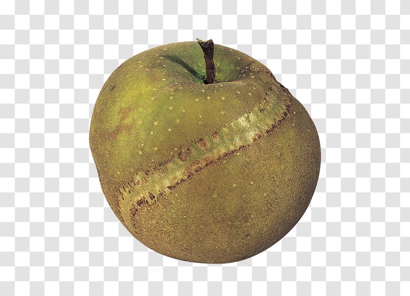 Apple Patte De Loup Granny Smith Fuji Pear Transparent PNG