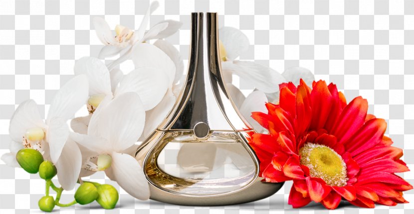 Glass Bottle Praxis Für Physiotherapie Martin Soltau Perfume Moislinger Allee - Petal Transparent PNG