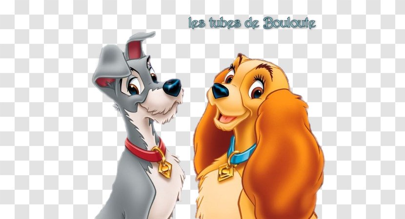 Lady And The Tramp Scamp Walt Disney Company Film - Vertebrate Transparent PNG