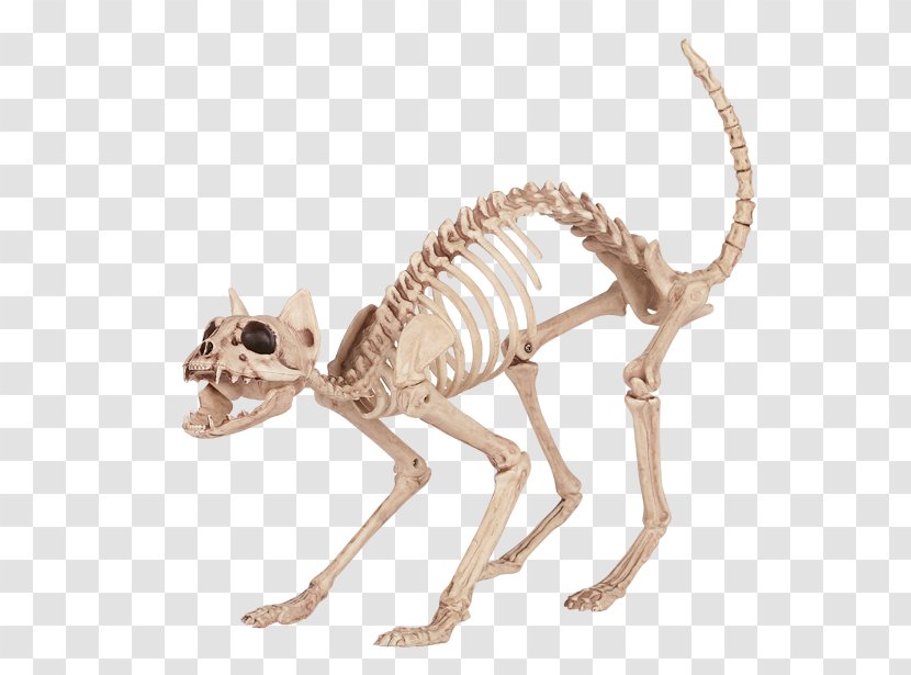 Cat Litter Trays Skeleton Bone Tail - Animal Figure - Bones Transparent PNG