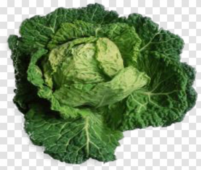 Savoy Cabbage Collard Greens Spring Roll - Vegetable Transparent PNG