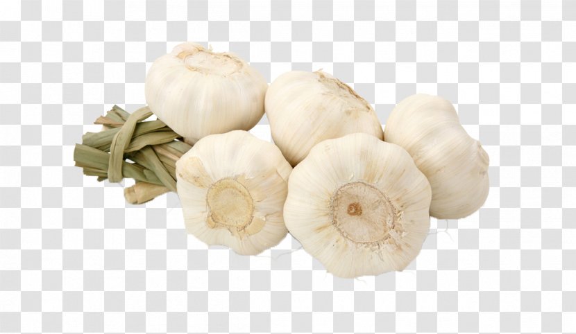 Garlic World Food Vegetable Allicin - Black Transparent PNG