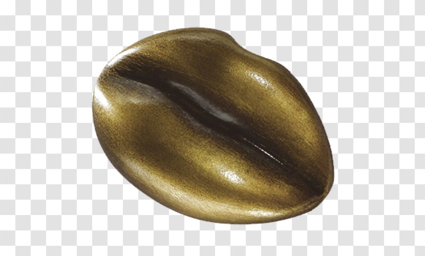 Brass 01504 Bronze Material Transparent PNG