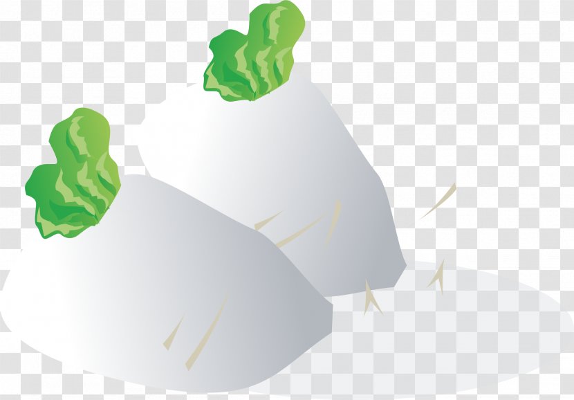 Vegetable Turnip - Green - Radish Transparent PNG
