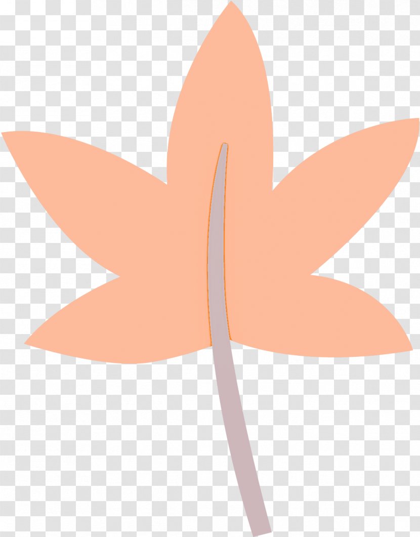 Orange - Plant - Wheel Transparent PNG