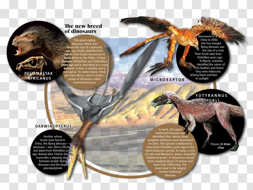 Science Comics: Dinosaurs: Fossils And Feathers Cretaceous–Paleogene Extinction Event Dogs: From Predator To Protector - Dinosaur Transparent PNG