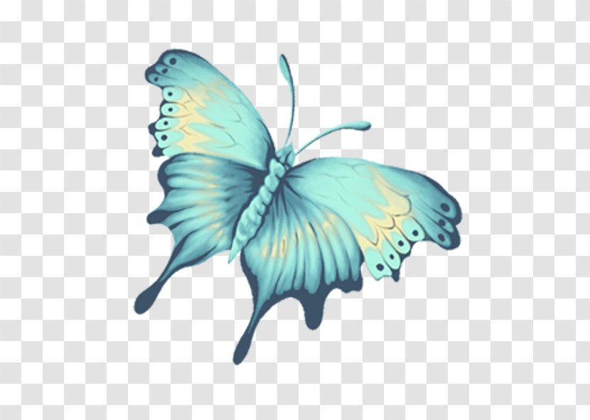 Monarch Butterfly Blue - Moth Transparent PNG
