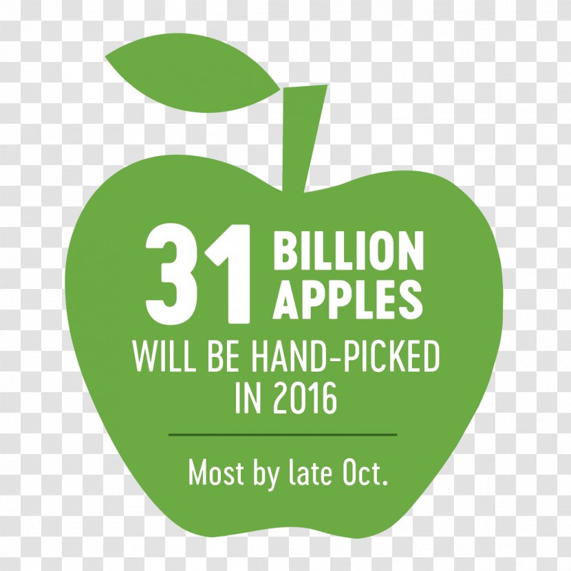 Logo Brand Font Green Apple - Leaf - Harvest Season Transparent PNG